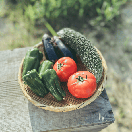 【無農薬】旬の野菜セット Sサイズ