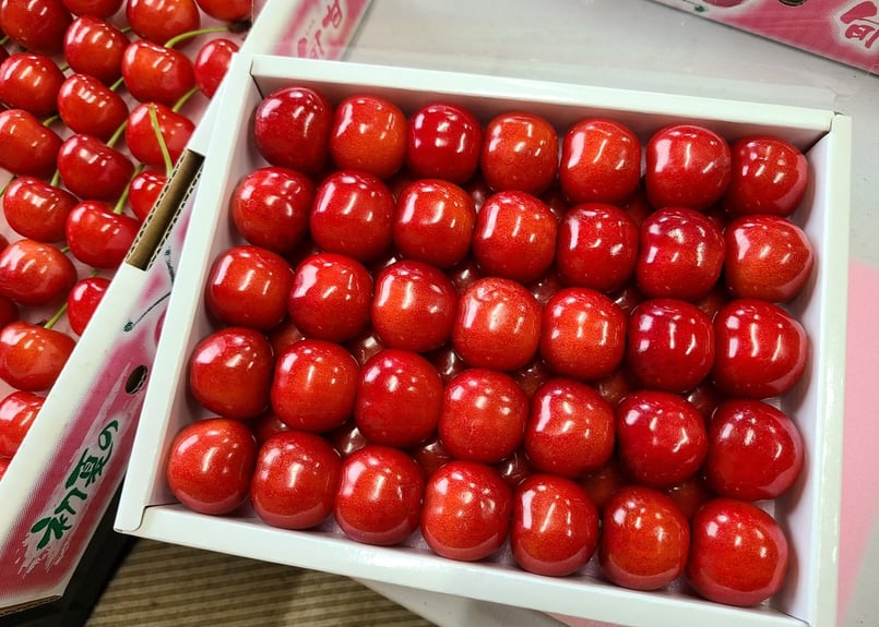 2箱セット】紅秀峰 並べ 500g×1 バラ 1kg×1 | 平果樹園 2箱セット】紅秀峰 並べ 500g×1 バラ 1kg×1 | 平果樹園