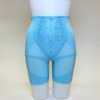 リリーブーケイオンクリア ロングガードル 補正下着【58~122】（神秘