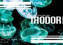 IRODORI vol.11　ちょっと変わった生き物探究『ネコ』