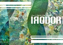 IRODORI vol.18　アートの手引き『サカナクション』