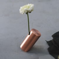 flower vase/hairline