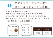 グァテマラ　アンティグア　エル・カペティージョ農園