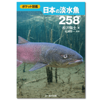 ポケット図鑑　日本の淡水魚258