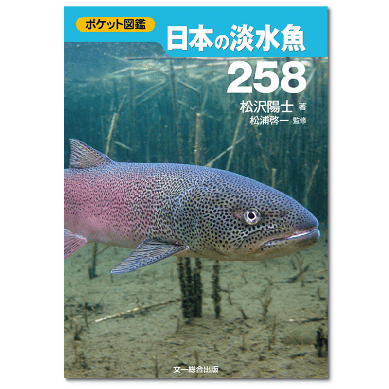 ポケット図鑑 日本の淡水魚258 | 自然探偵書店