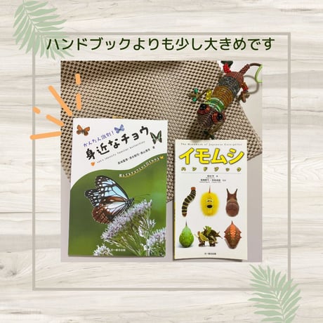 かんたん識別！身近なチョウ