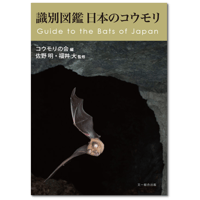 識別図鑑 日本のコウモリ