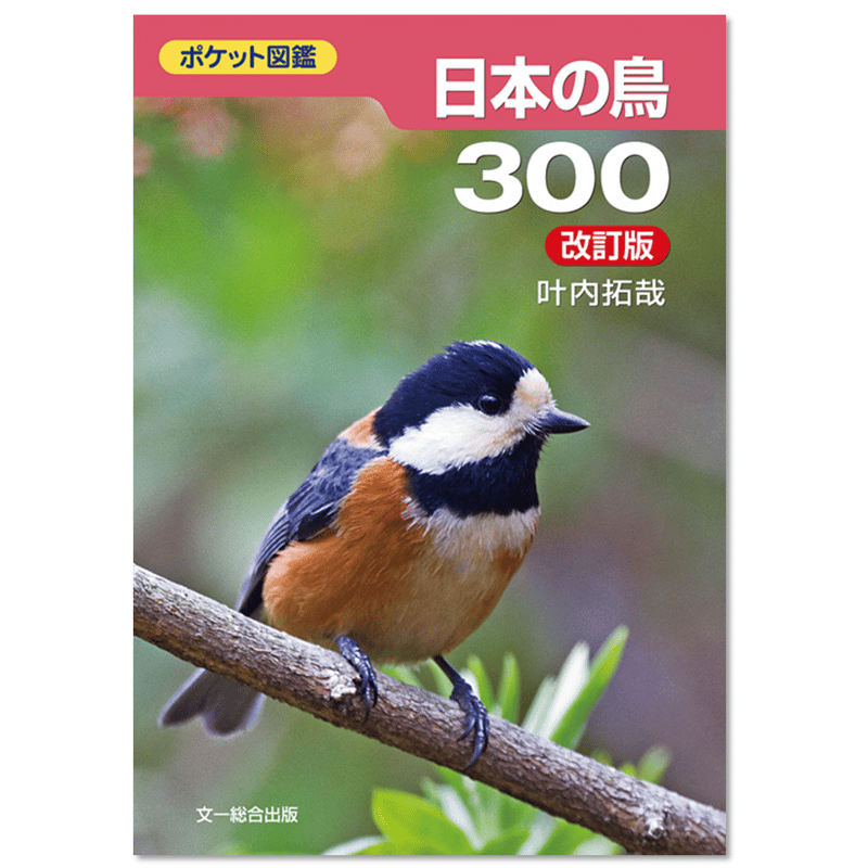 日本の野鳥セット　ペーパーブック版 日本の野鳥セット ペーパーブック版 Amazon.co.jp: 復刊・薮内