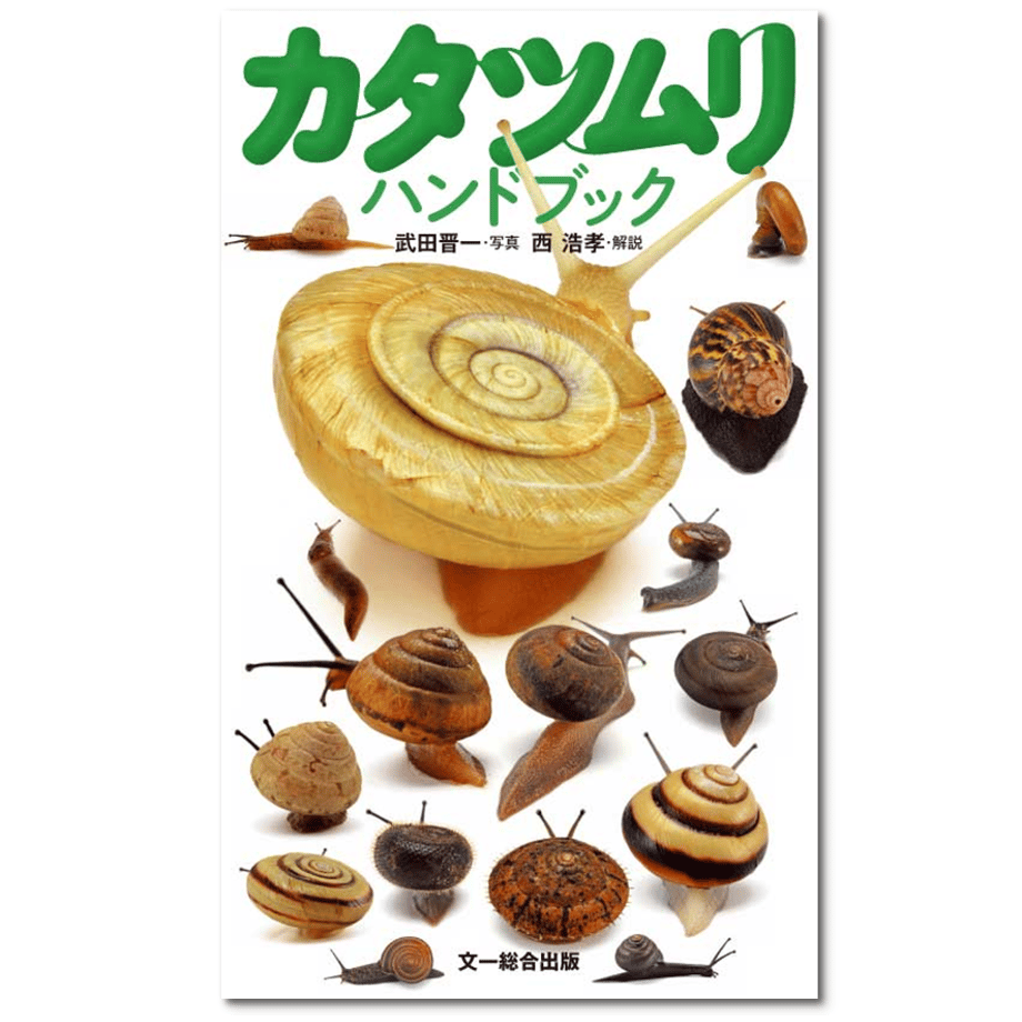 6459f37831cf64002db079e9