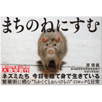 写真集　まちのねにすむ