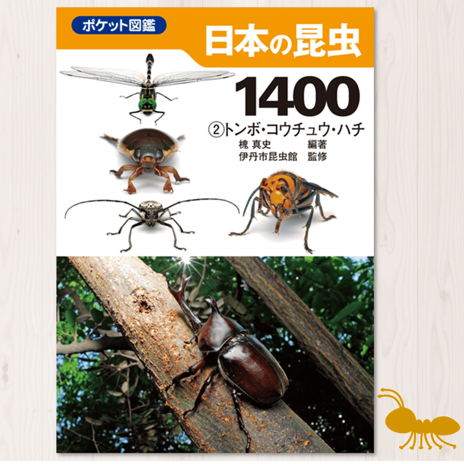 646db275683095002aa4d79e