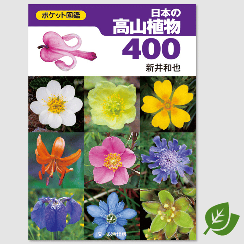 ポケット図鑑 日本の高山植物400 | 自然探偵屋 ポケット図鑑 日本の高山植物400 | 自然探偵屋