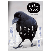 とことんカラス