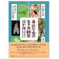 身近な虫の生き方観察12か月　-季節の生きもの事典③-