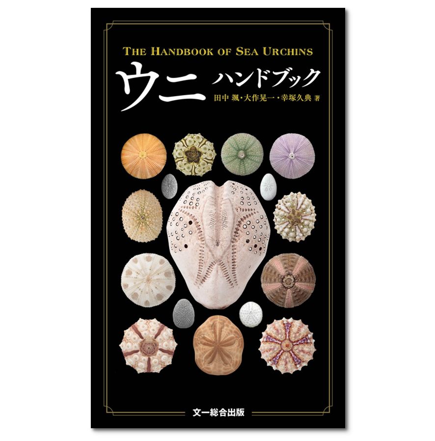 ウニ ハンドブック | 自然探偵書店