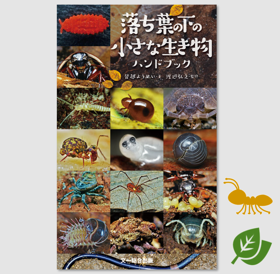 落ち葉の下の小さな生き物 ハンドブック | 自然探偵屋 落ち葉の下の小さな生き物 ハンドブック | 自然探偵屋