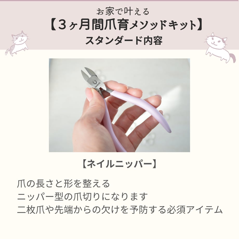 65f6f39ce4ecdd29c7a841f5