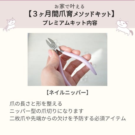 お家で叶える【３ヶ月間爪育メソッドキット　プレミアム】カンタン使い方動画プレゼント付