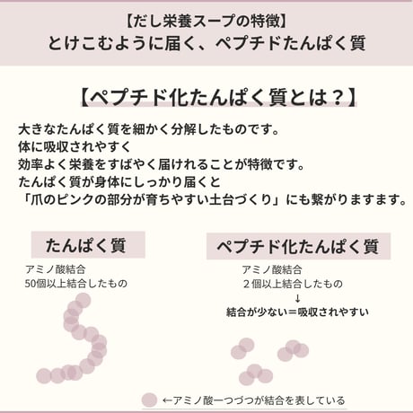 送料無料＋おまとめ割5%OFF【爪育に必要なタンパク質・亜鉛・鉄が豊富】だし&栄養スープ　500g×３個セット