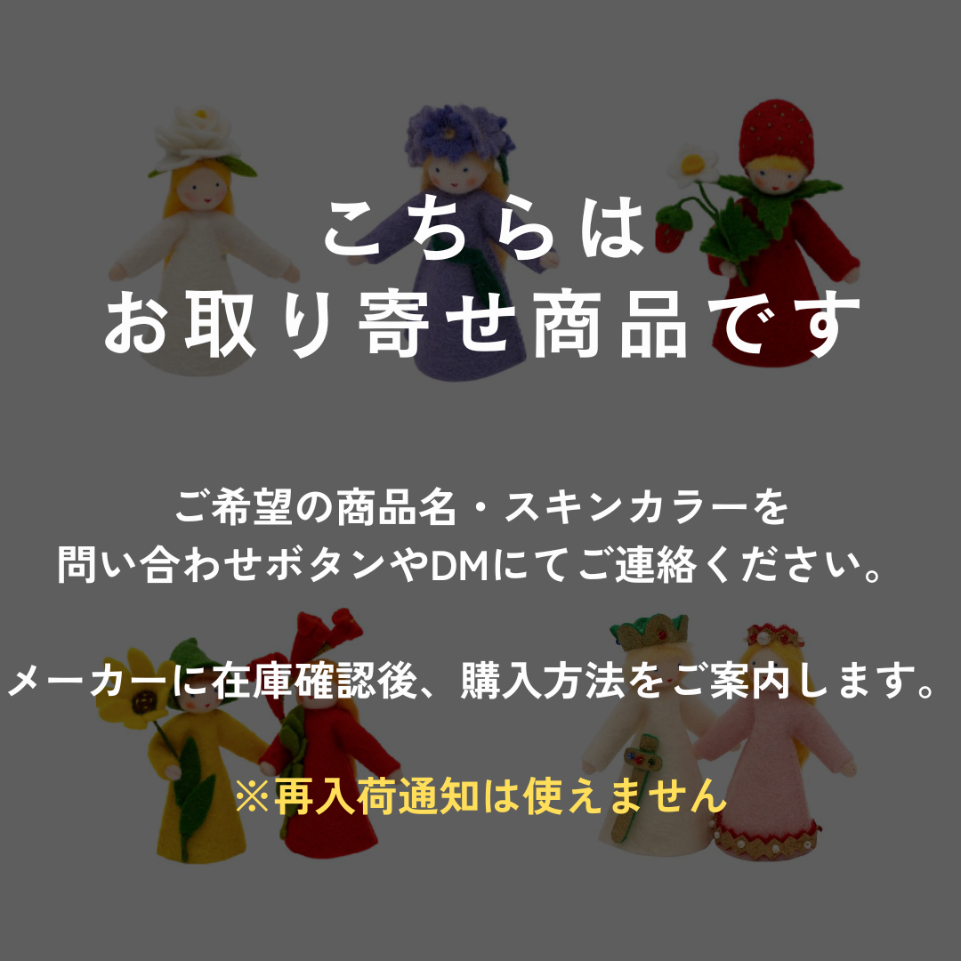 【Ambrosius】 冬の妖精2024 ハンギングドールズ各種 その１【取り寄せ商品・要問い合わせ】