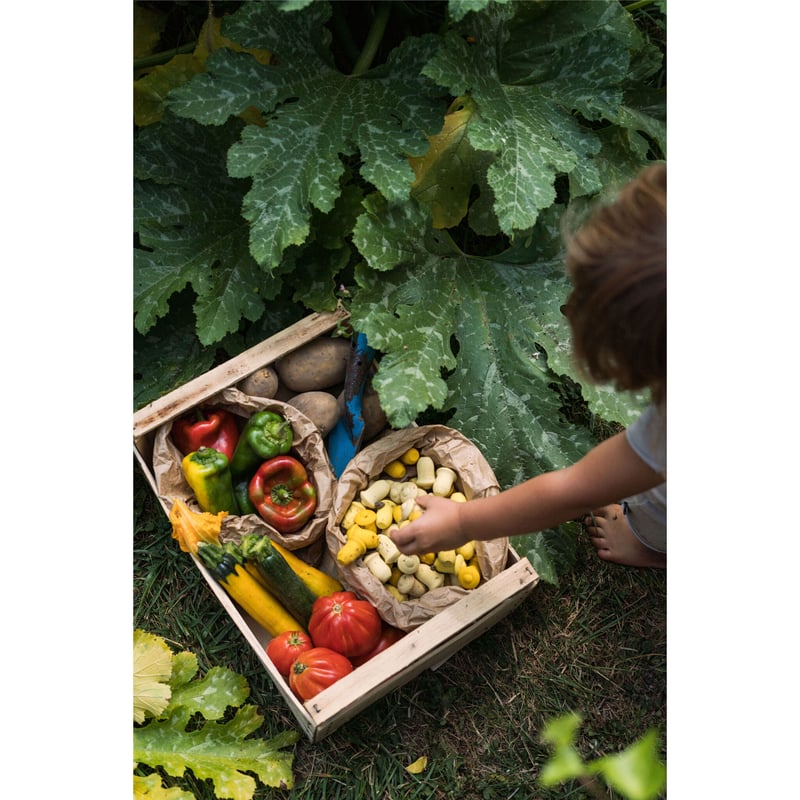 GRAPAT】まんだら チューリップ | METSÄ