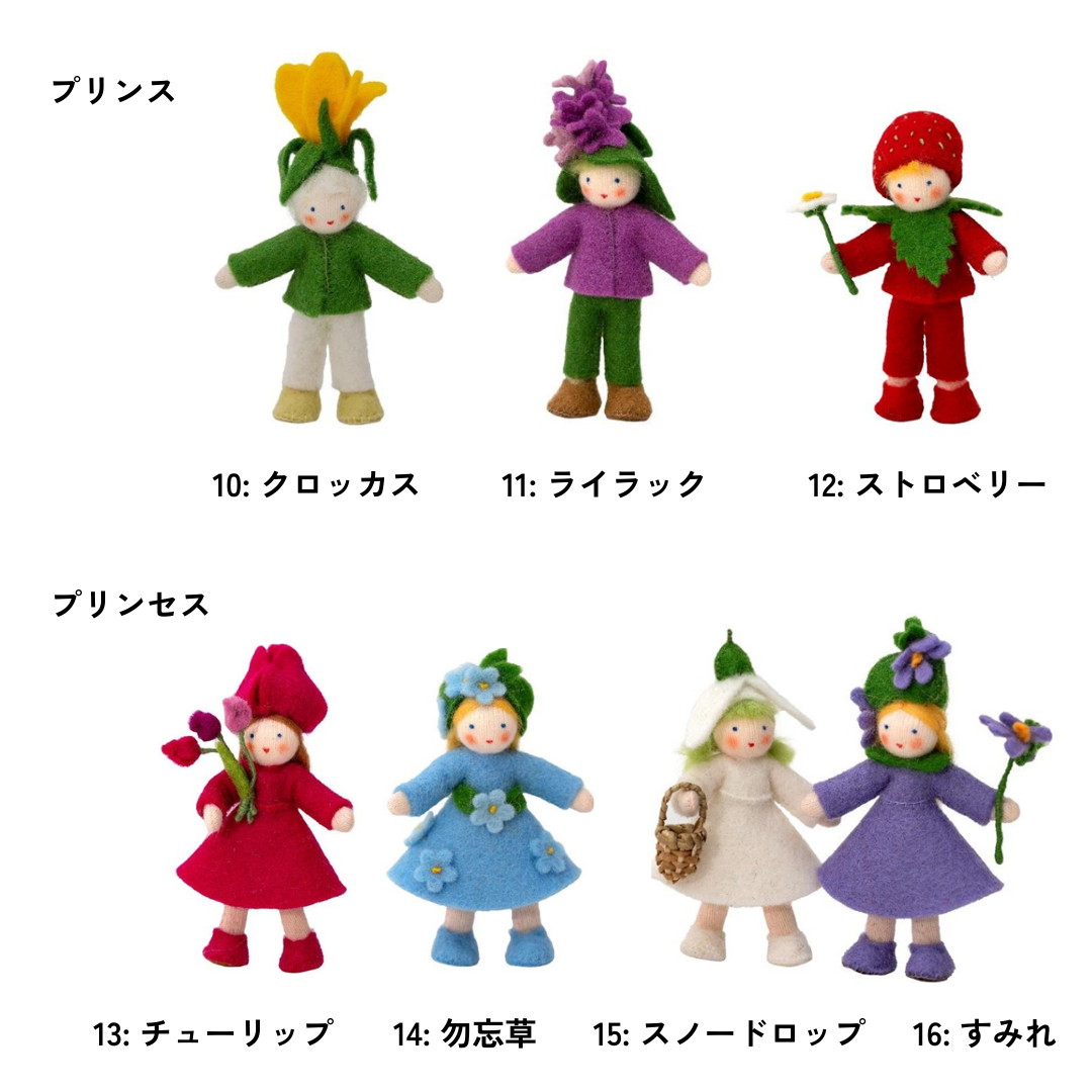 Ambrosius fairy 4点セット Ambrosius fairy 4点セット