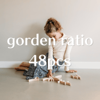 BAUSPIEL 】カラートライアングル ラージ 54pcs ※木製トレー付き