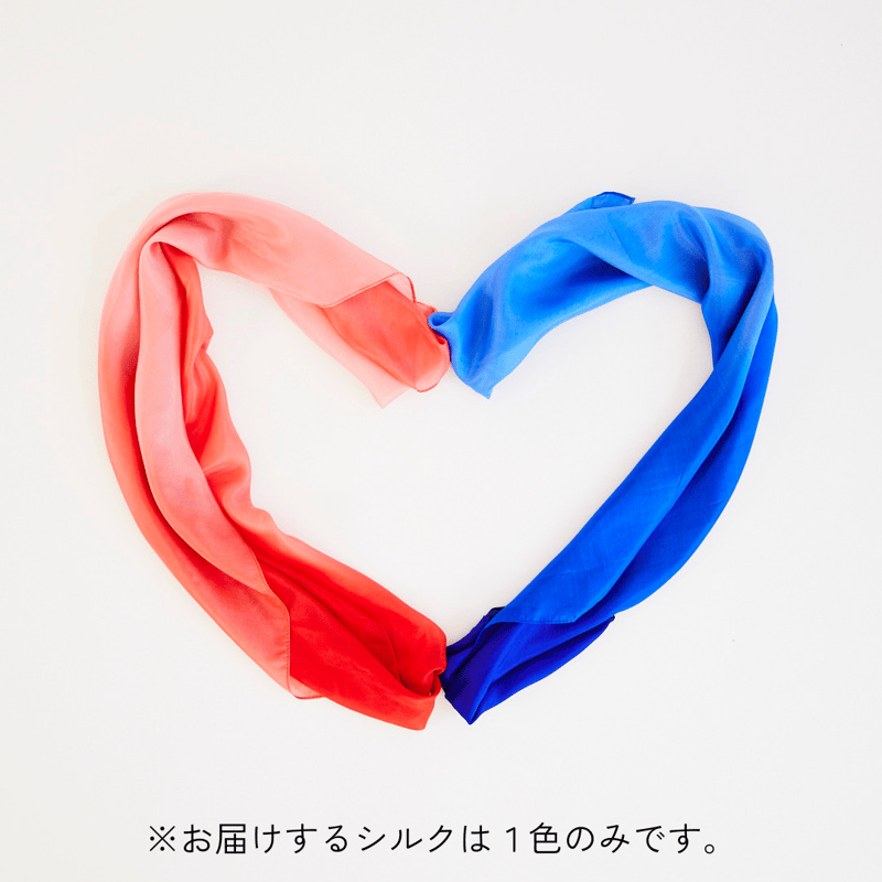 「履かないの？」Blue×Red シルクスクリーン 履かないの？」Blue×Red シルクスクリーン