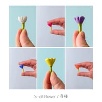 BAUSPIEL 】ルーセントシリンダー 64pcs ※木製トレー付き 【次回入荷分