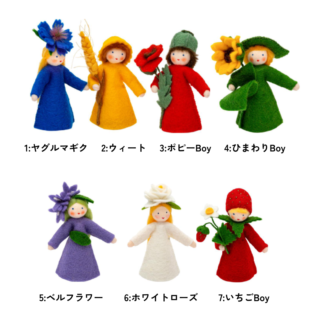 Ambrosius fairy 4点セット Ambrosius fairy 4点セット
