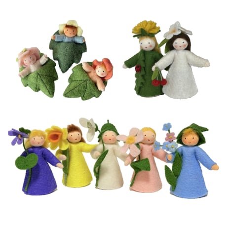 アンブロシウスフェアリー | STORES