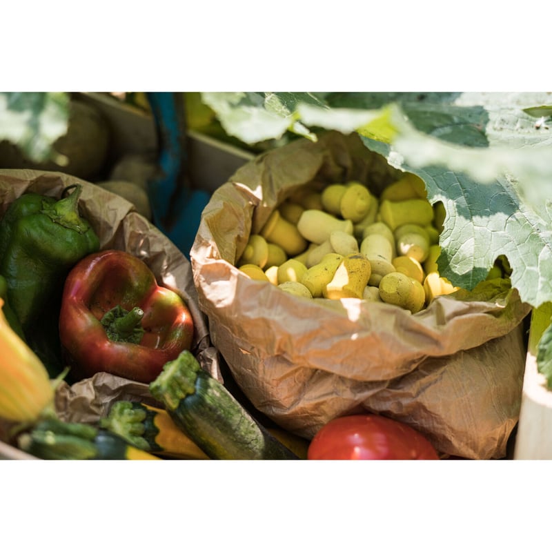 GRAPAT】まんだら チューリップ | METSÄ