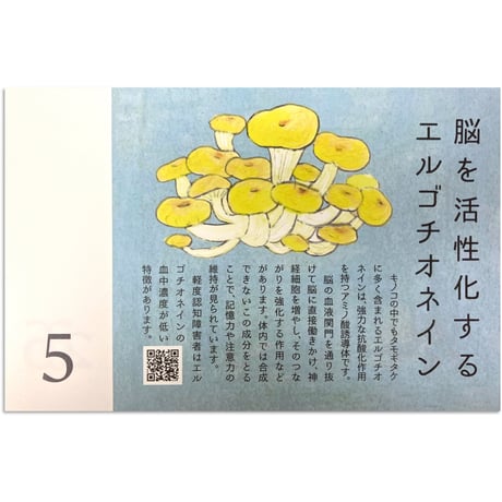 脳を守る生活術　万年日めくりカレンダー