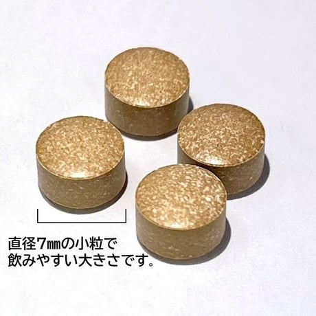 記憶の番人®