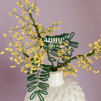 【期間限定】mimosa 単品1本