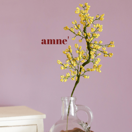 【flower】mimosa