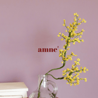 【flower】mimosa  II