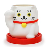まねき猫ポット