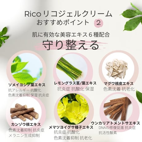 保湿ジェル ジェル美容液 リコ ジェル クリーム 48ｇ rico jel cream