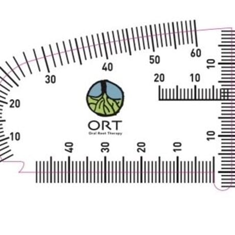【100枚セット】FDルーラー（Facial Development Ruler）