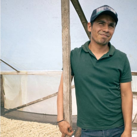 Colombia Finca Villa Celeste Pink Bourbon Washed