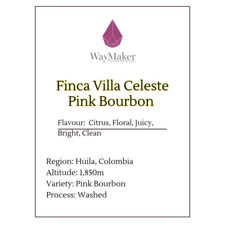 Colombia Finca Villa Celeste Pink Bourbon Washed