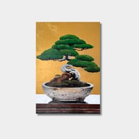 『盆栽』