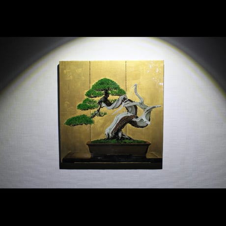 『BONSAI -竜の爪-』