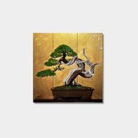『BONSAI -竜の爪-』