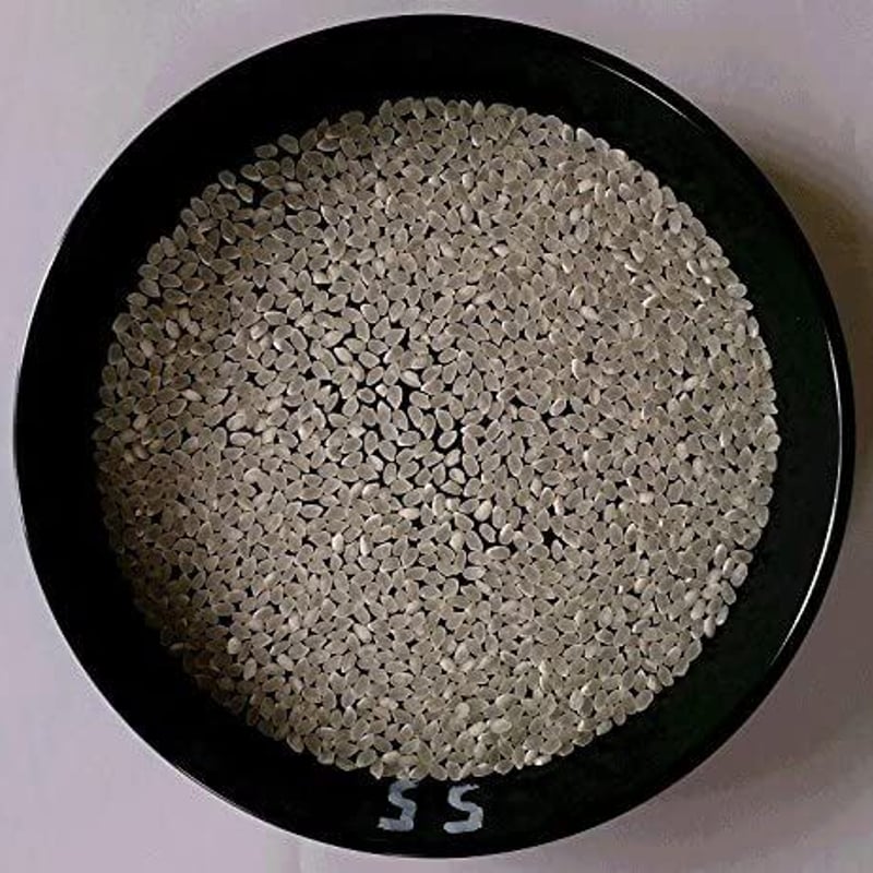 令和6年産 米屋の自慢米(地域厳選こしひかり) 10Kg | 米処 味いちばん館