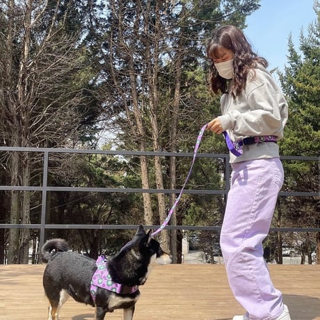Mr.Clover/Mr.クローバー イージーハーネス 小型犬・中型犬 S〜L