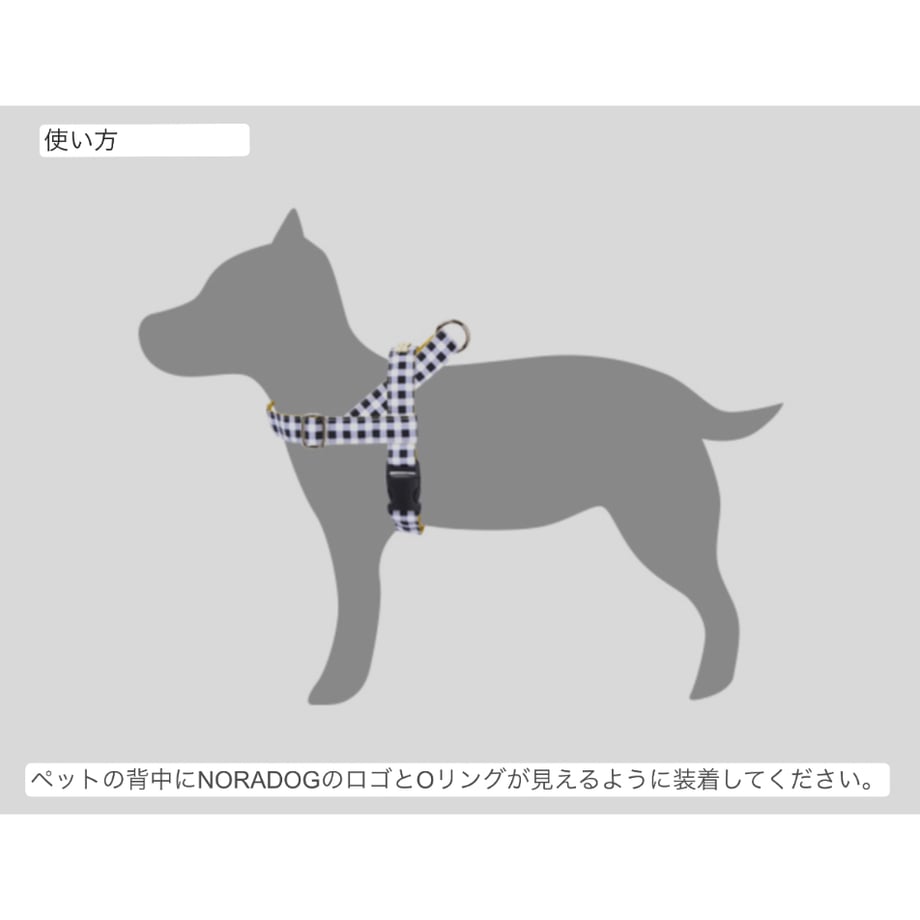 643ff8d666372a0037df88c5