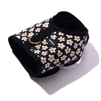 Daisy/デイジークールラッシュウェアハーネス小型犬用　S~XL