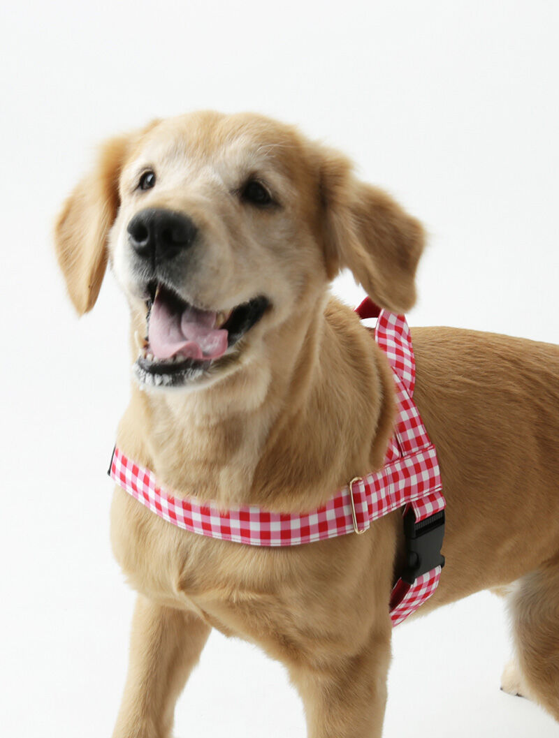 Barbie Check/バービーチェック イージーハーネス (レッド)大型犬 XL